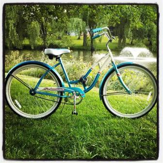 The view from my favorite bench in the park.