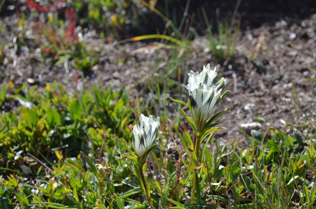 Post 502: The highway in the&nbsp;sky